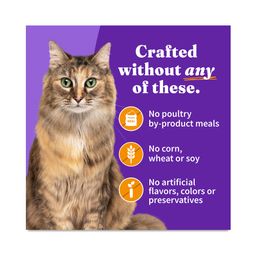 Grain Free Soft Adult Wet Cat Food, Chicken In Broth