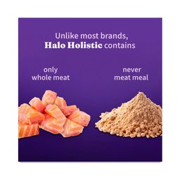 Holistic Grain Free Adult Dry Dog Food for Small Breed, Salmon & Whitefish