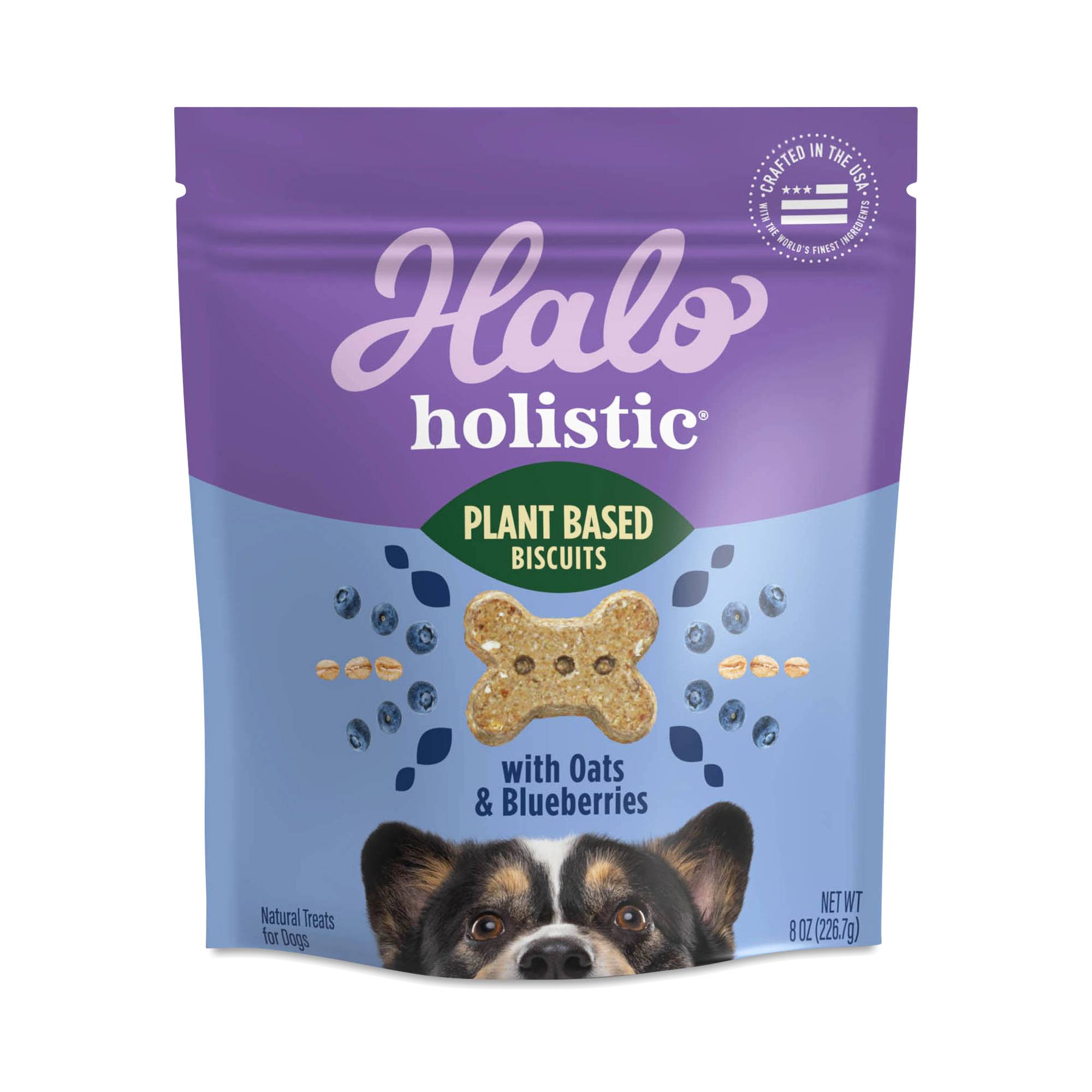 Plant Based Biscuit Dog Treats, Oats N’ Blueberry