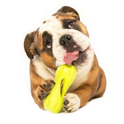 Large Qwizl Puzzle for Dogs, Tough Chewers