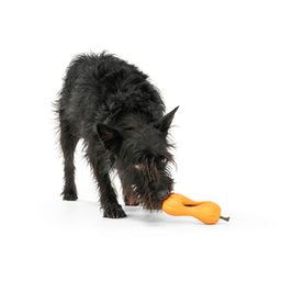 Small Qwizl Puzzle for Dogs, Tough Chewers