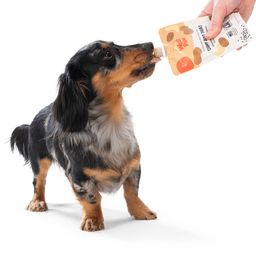 Creamy Dog Treats, Nut Butter, Sweet Potato & Chia Seeds