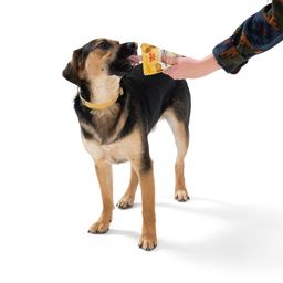 Creamy Dog Treats, Peanut Butter & Banana