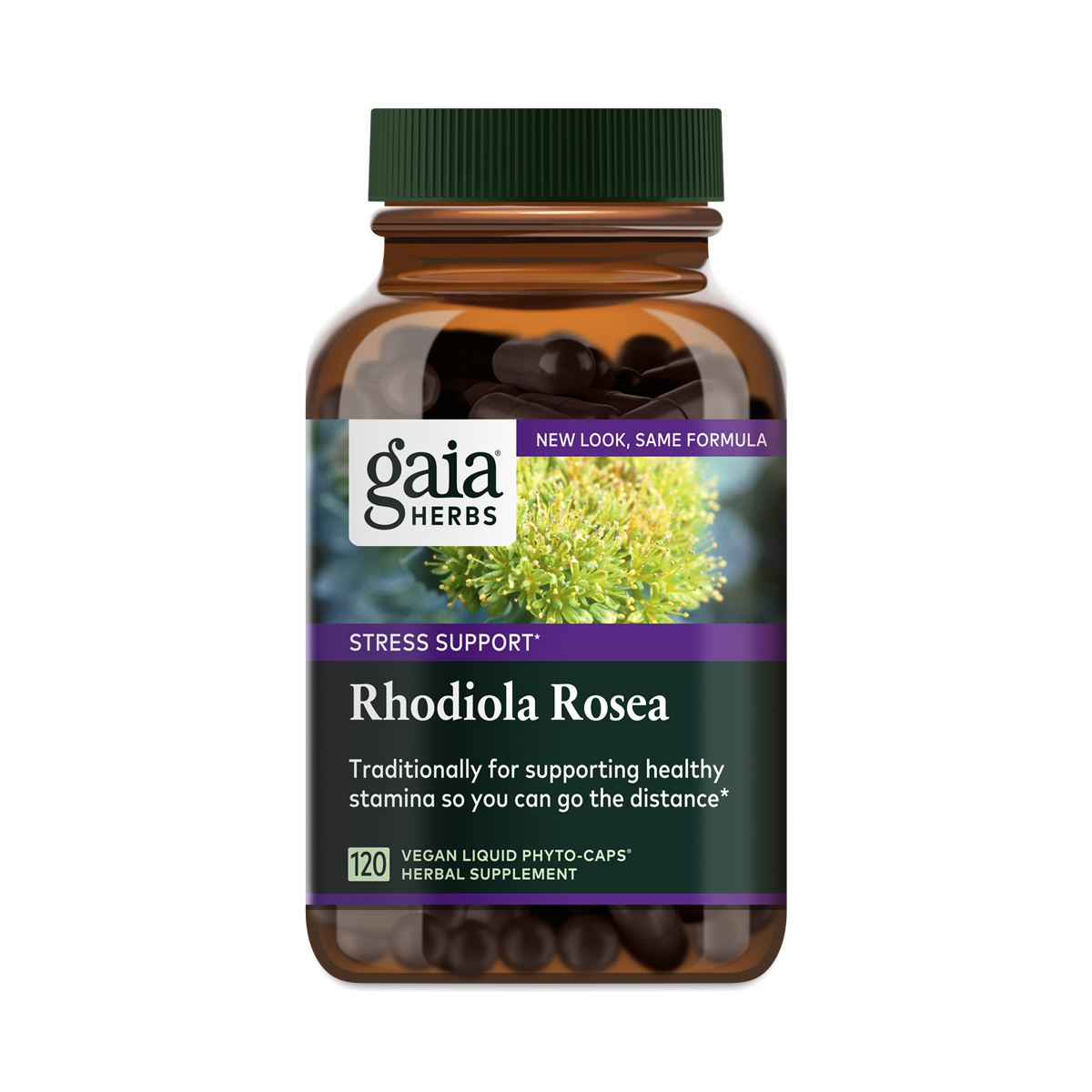 Rhodiola Rosea Extract By Gaia Herbs Thrive Market