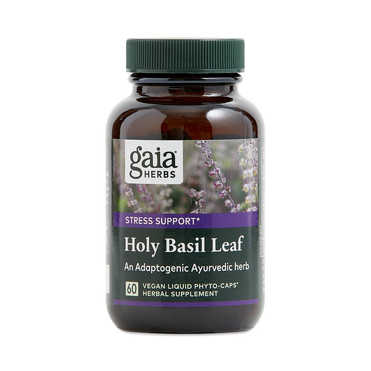 Holy Basil Leaf