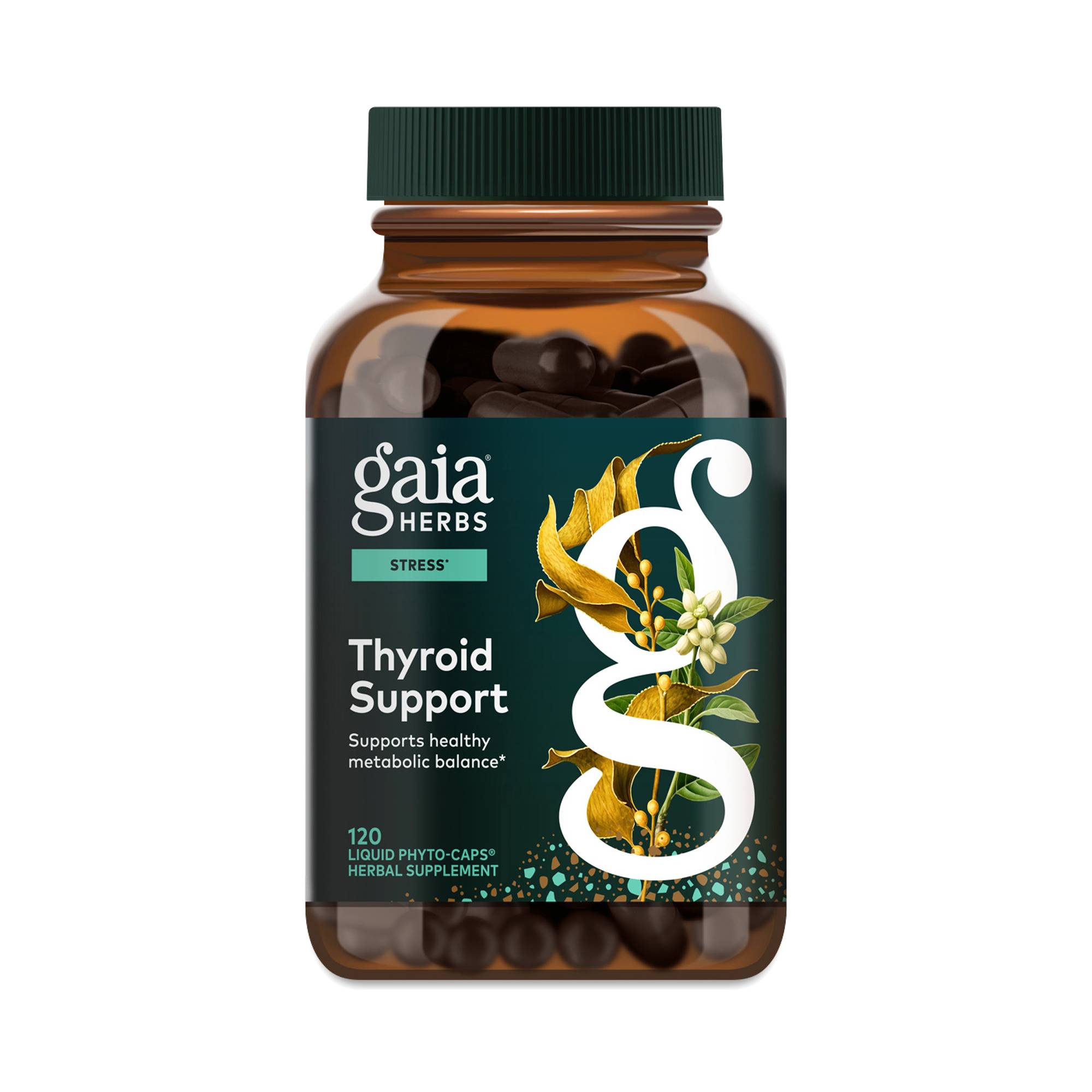 Thyroid Support