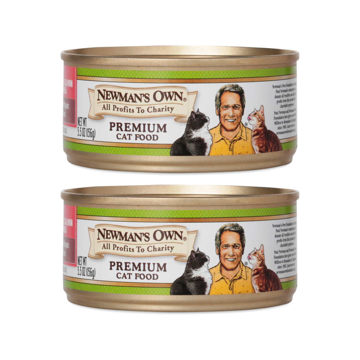 Chicken & Salmon Premium Cat Food, 2 Pack
