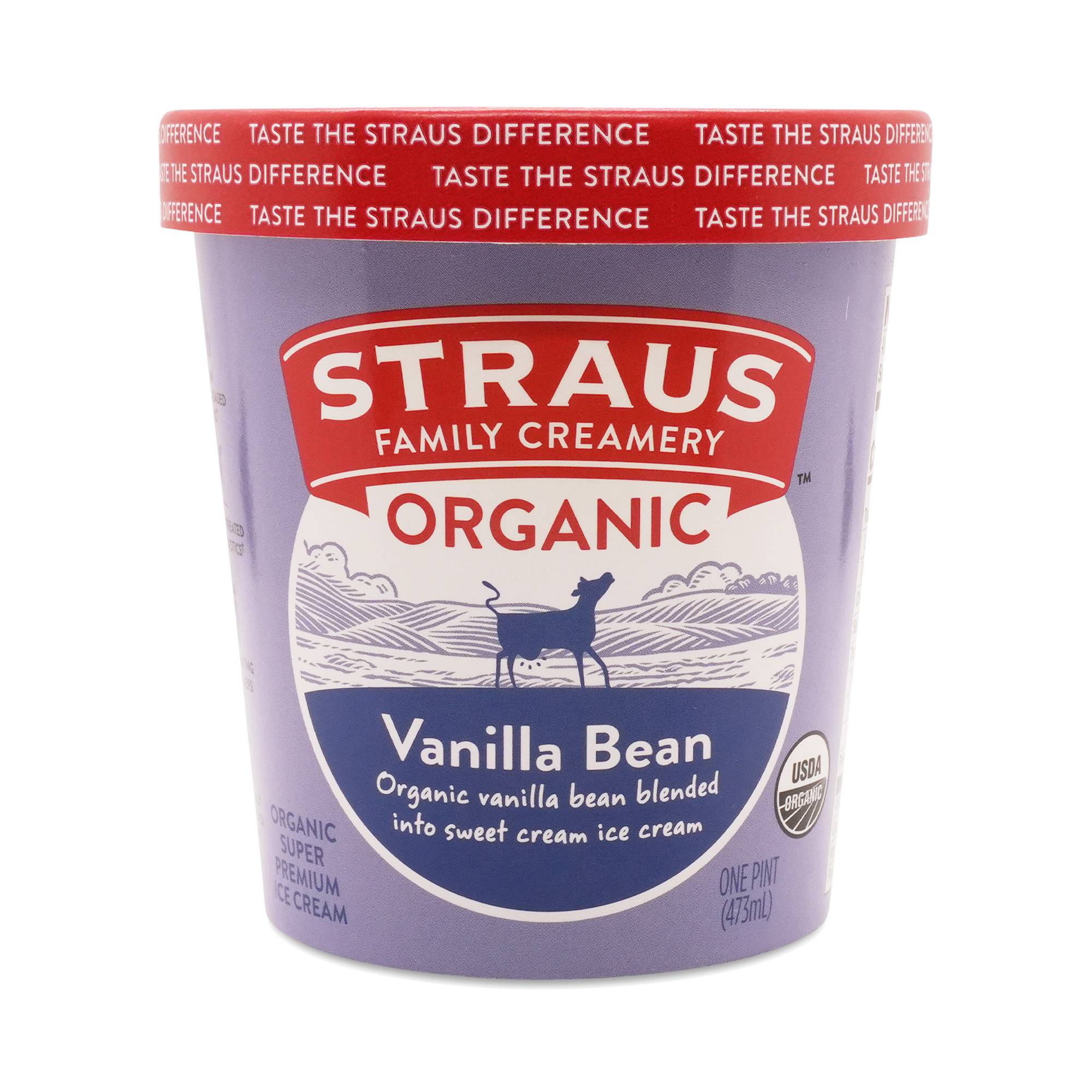Organic Ice Cream Pint, Vanilla Bean