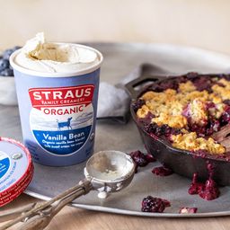 Organic Ice Cream Quart, Vanilla Bean