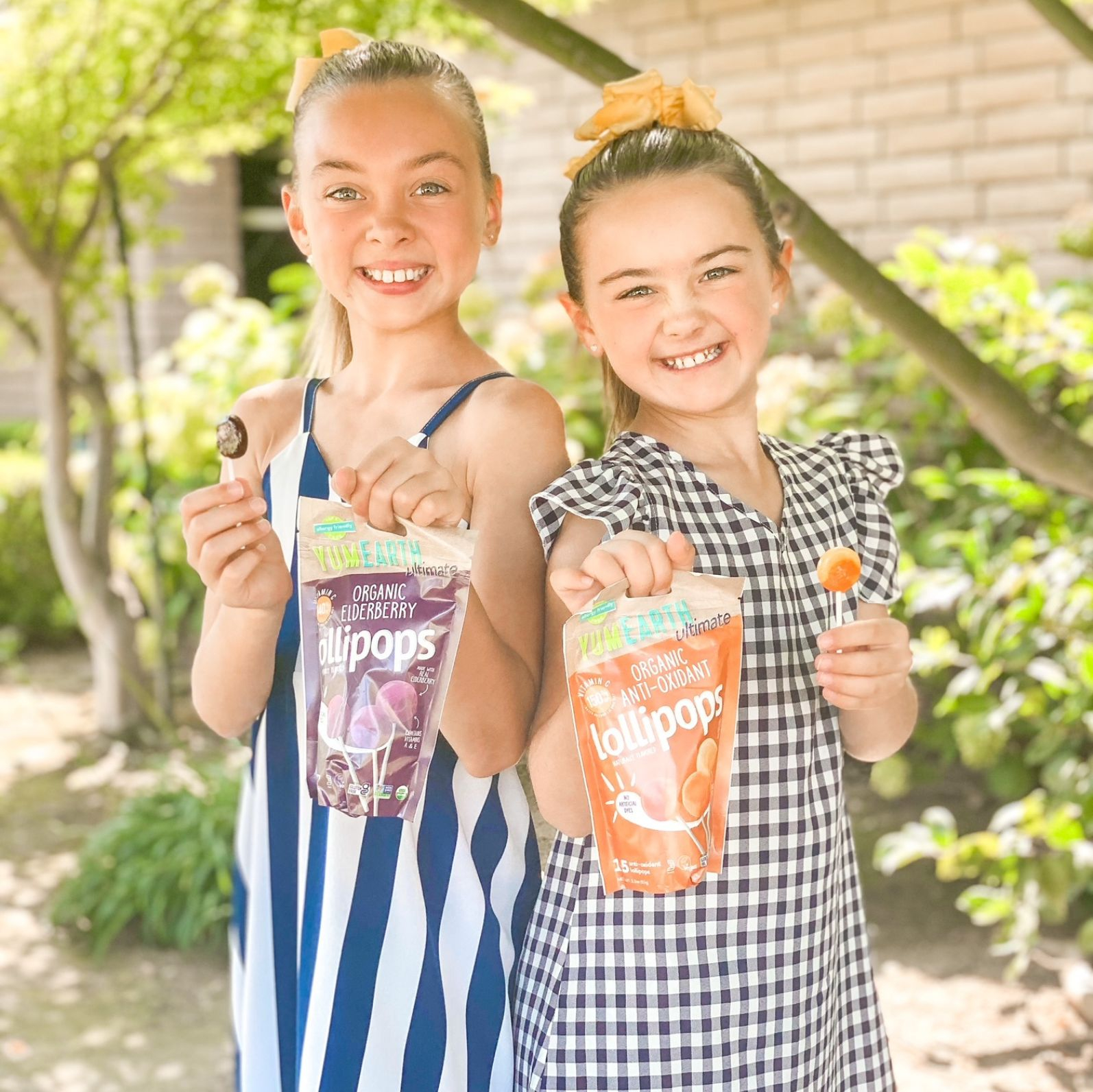 YumEarth Organic Lollipops, Elderberry | Thrive Market