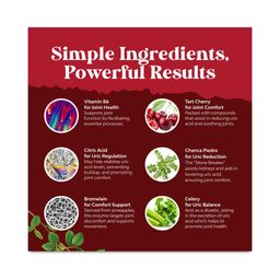 Uric Acid Formula for Cleanse & Detox