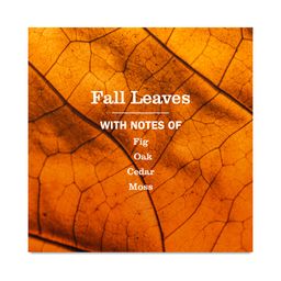 Hand Soap, Fall Leaves