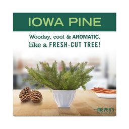 Hand Soap, Iowa Pine