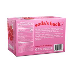 Mini Cans, Raspberry Rose
