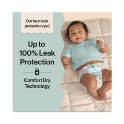 Club Box Diapers, Size 7