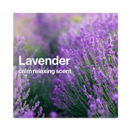 Disney Face + Body Lotion & Shampoo + Body Wash, Lavender