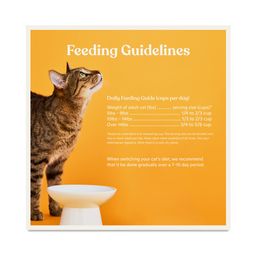 Bone Broth Infused Cat Kibble Cage-Free, Chicken & Pumpkin Recipe