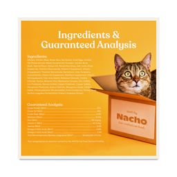 Bone Broth Infused Cat Kibble Cage-Free, Chicken & Pumpkin Recipe