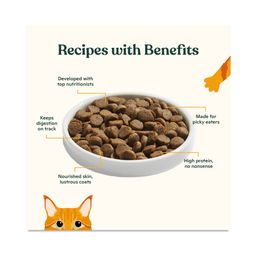 Bone Broth Infused Kibble Cat Food, Salmon & Pumpkin