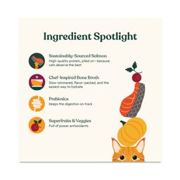 Bone Broth Infused Kibble Cat Food, Salmon & Pumpkin