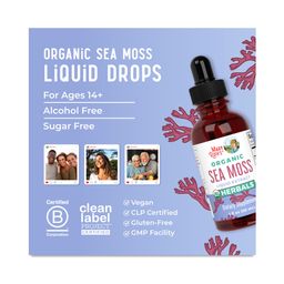 Organic Sea Moss Drops
