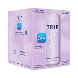 Adaptogenic Sparkling Drink with Magnesium, Raspberry Blossom
