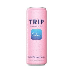 Adaptogenic Sparkling Drink with Magnesium, Wild Strawberry