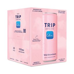Adaptogenic Sparkling Drink with Magnesium, Wild Strawberry