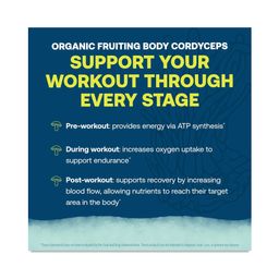 ElectroMag™ Lemon Lime