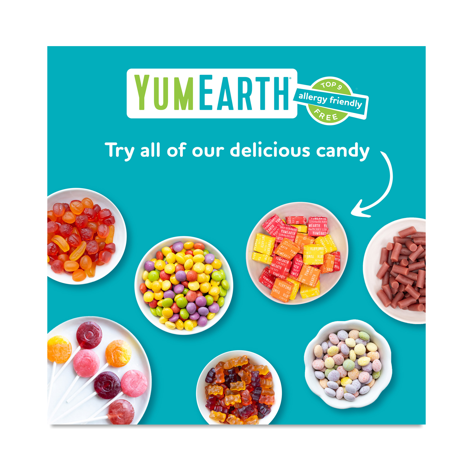 ピーターパン　ドリームキャンペーン 今年も開催！免許取得サポートキャンペーン！ [最新情報] | ホンダ