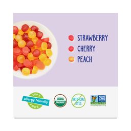 Organic Fruit Snacks, Favorites, Snack Packs