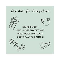 Clean Conscious Baby Wipes, Value Pack