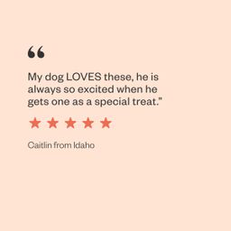 Ear Candy Beef Ear Chews Dog Chew Treats