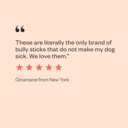 No Stink! Free Ranger Beef Bully Stix Dog Chew Treats