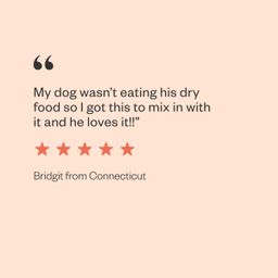 Canned Dog Food, Gobble It Up Stew