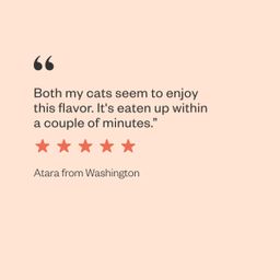 Canned Cat Food - Beef, Right Meow! Pâté