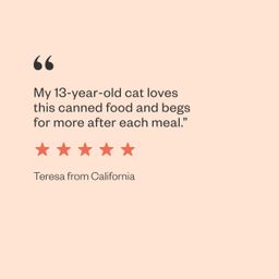 Páté All Day Wet Cat Food Variety Pack