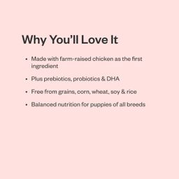 Naked Essentials Puppy Recipe, Chicken & Lentils