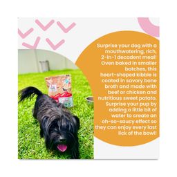 Baked & Saucy Dog Kibble, Chicken & Sweet Potato