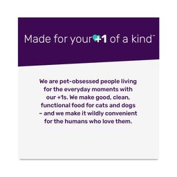 Baked & Saucy Dog Kibble, Beef & Sweet Potato