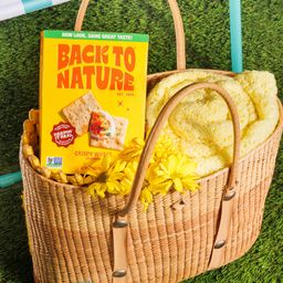 Crispy Wheat Crackers