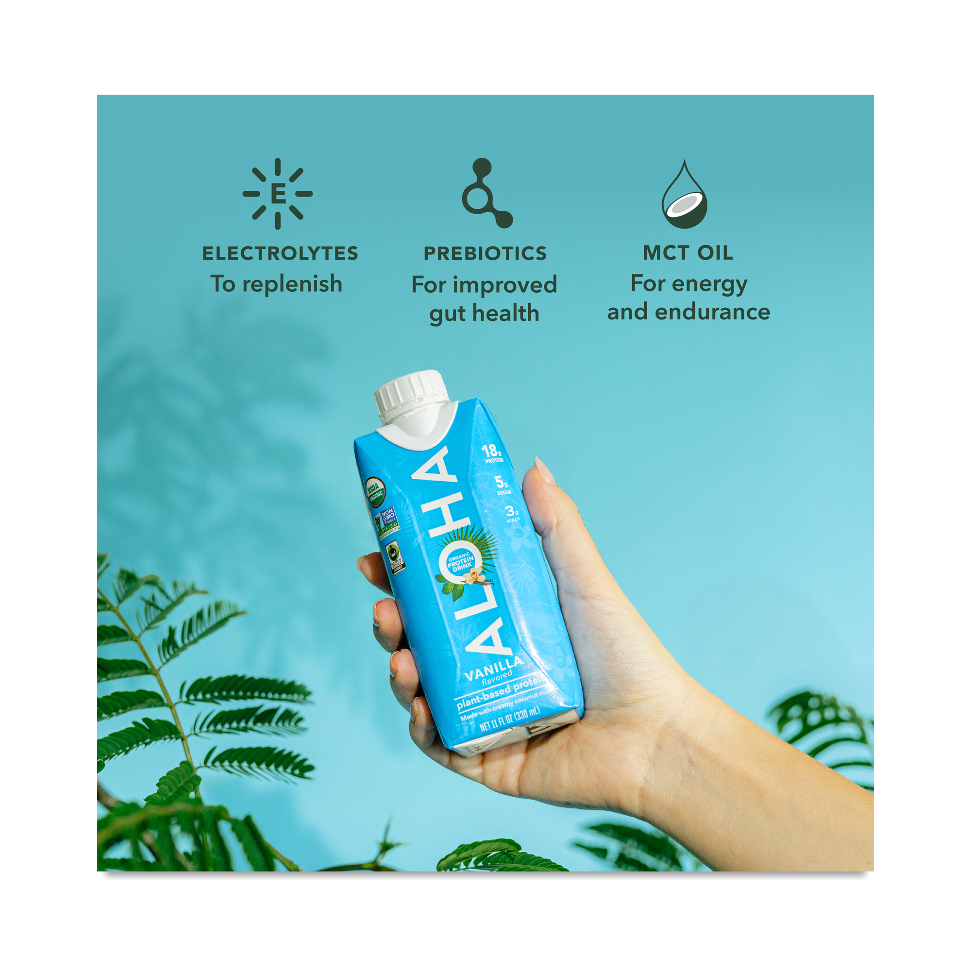 Aloha Organic Plant Based Protein Shake, Vanilla | Thrive Market