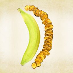 Organic Plantain Scoops Pink Salt