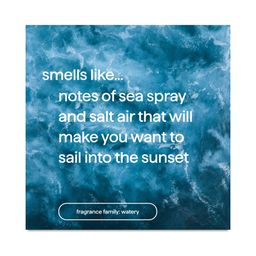 Foaming Body Wash, Sea Spray and Salt Air