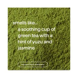 Conditioner, Mindful Matcha