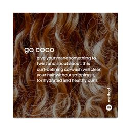 Curl Defining Co-Wash, Coco Twist