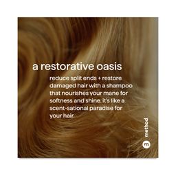 Conditioner, Island Mist