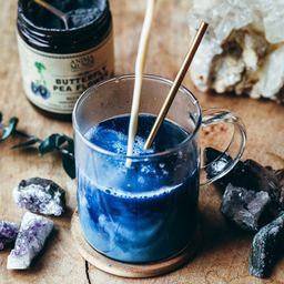 Butterfly Pea Flower Blue Healer 