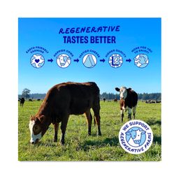 Cheesy Crackers, Classic Cheddar, Multipack