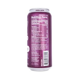 Sparkling Yerba Mate, Blackberry